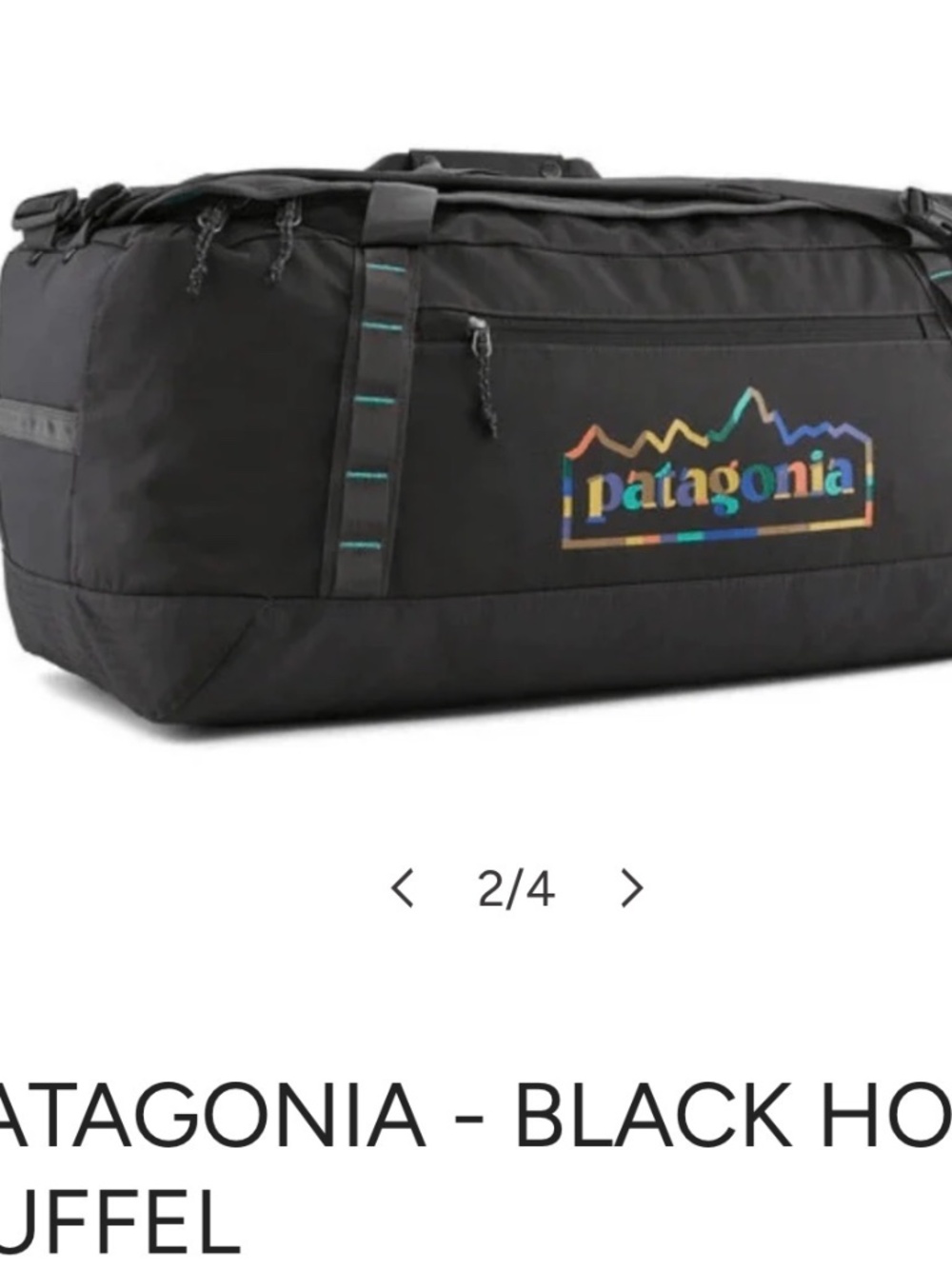 Patagonia black hole hundred litre